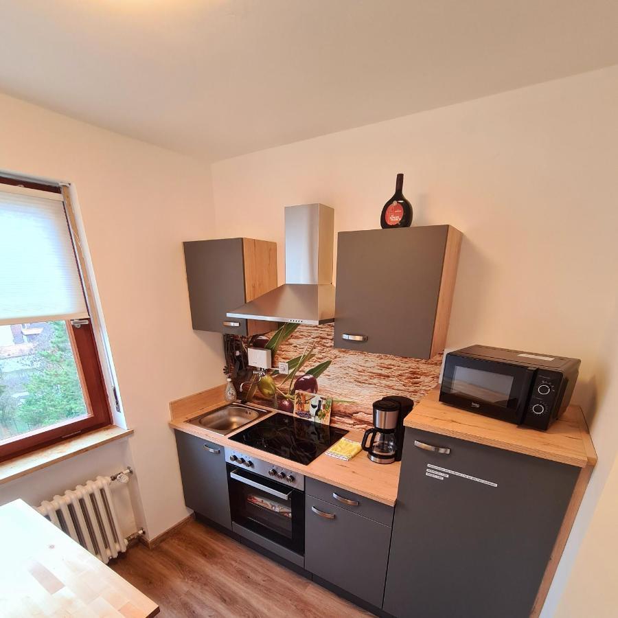 1,5 Zimmer Apartments Mit Traumhafter Aussicht Bad Kissingen Exteriör bild